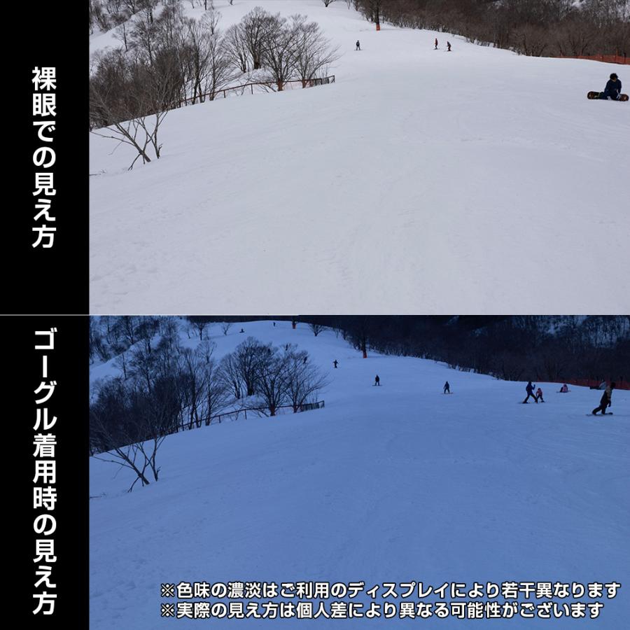 SMITH（スミス） SQUAD 010275080 スキー/スノーボード ゴーグル