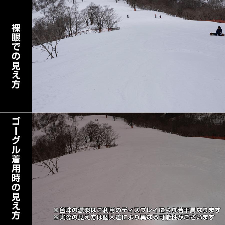 スキー・スノーボードアクセサリー nike dragon board goggle DRAGON ドラゴン DX3 ディーエックススリー AUTHENTIC J01 スキー