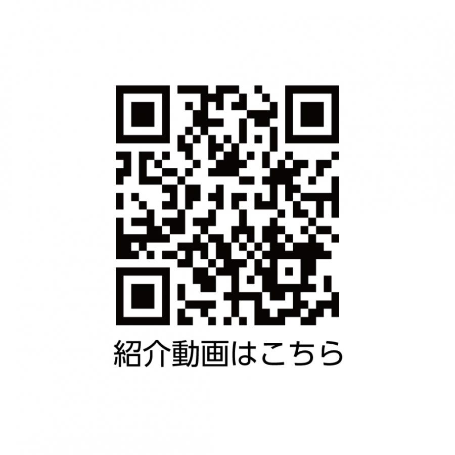 ROME SDS ロームエスディーエス ARTIFACT 21022026 22-23年モデル