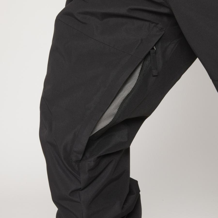 SESSIONS（セッションズ） メンズ スノーボード パンツ CAPITAL PANT