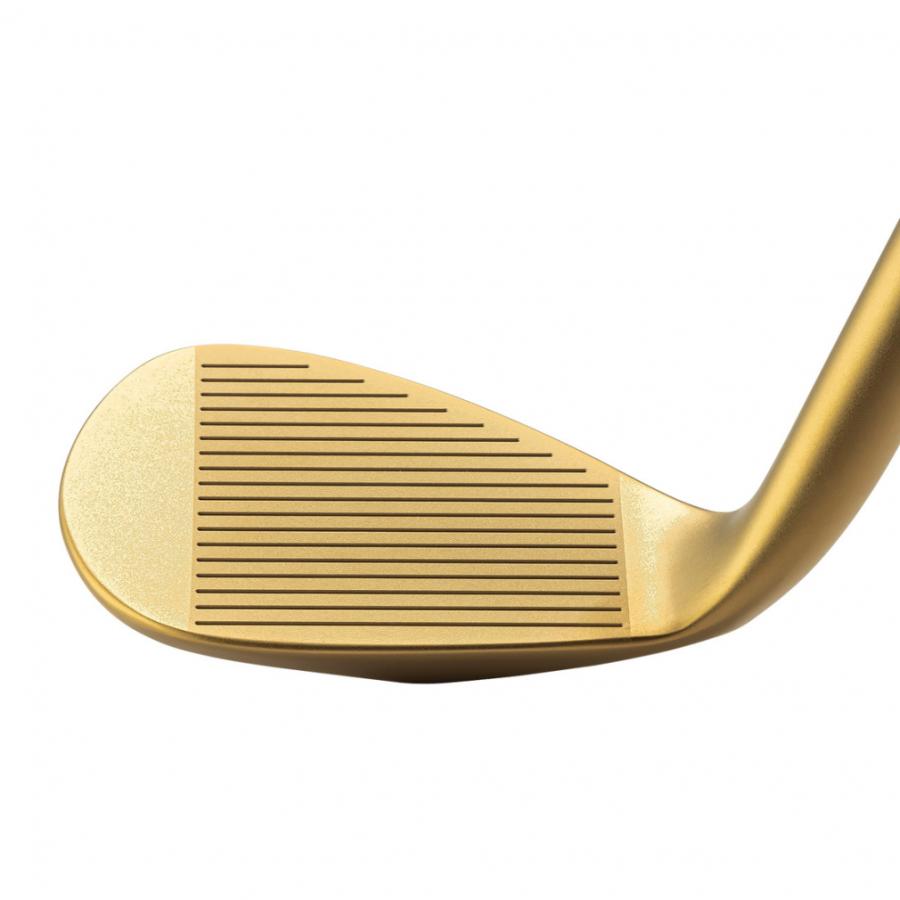 kasco（キャスコ） ドルフィンウェッジゴールド ゴルフ ウェッジ True