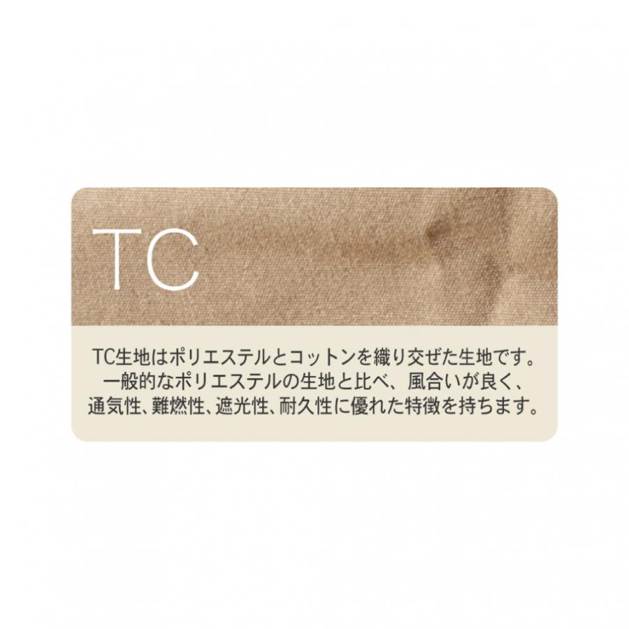 IGNIO（イグニオ） ペンタゴン型 ティピーテント 19213TRS-TC キャンプ