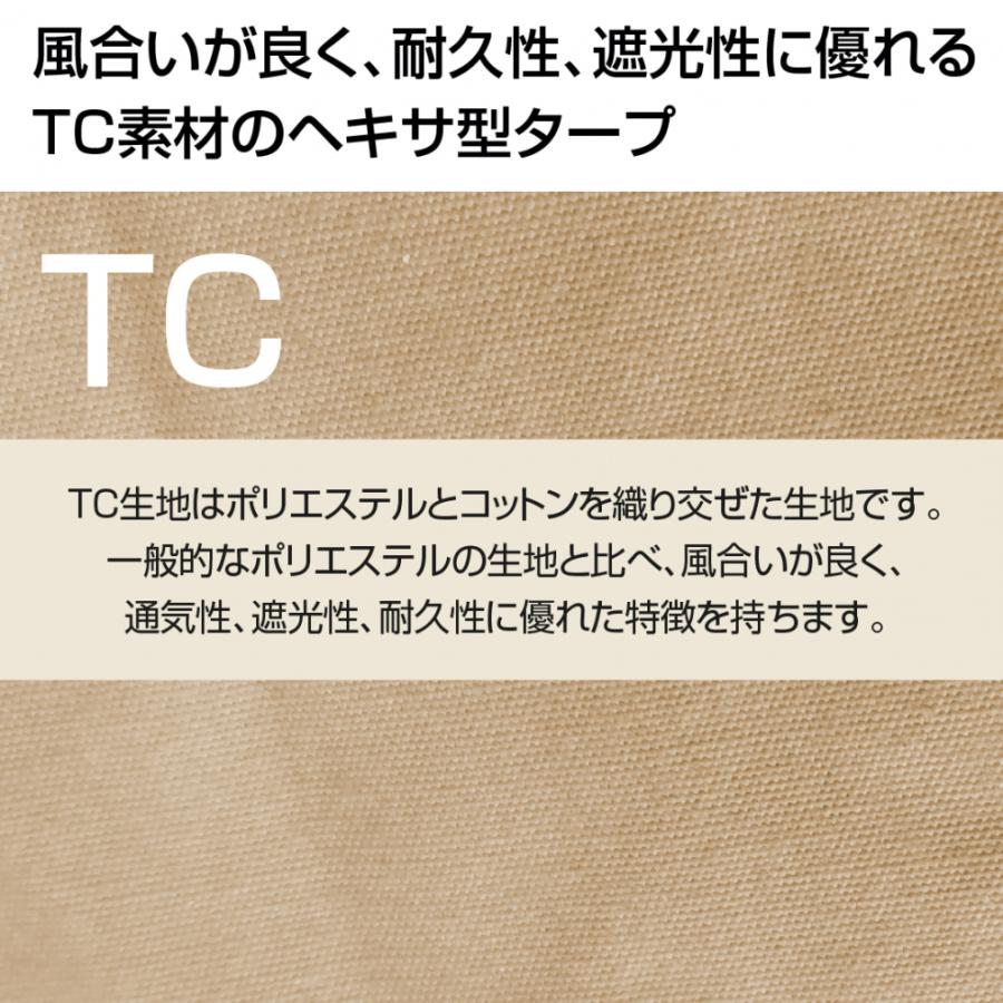 IGNIO（イグニオ） ティピーテント IG 22302TPS-TC キャンプ ドーム