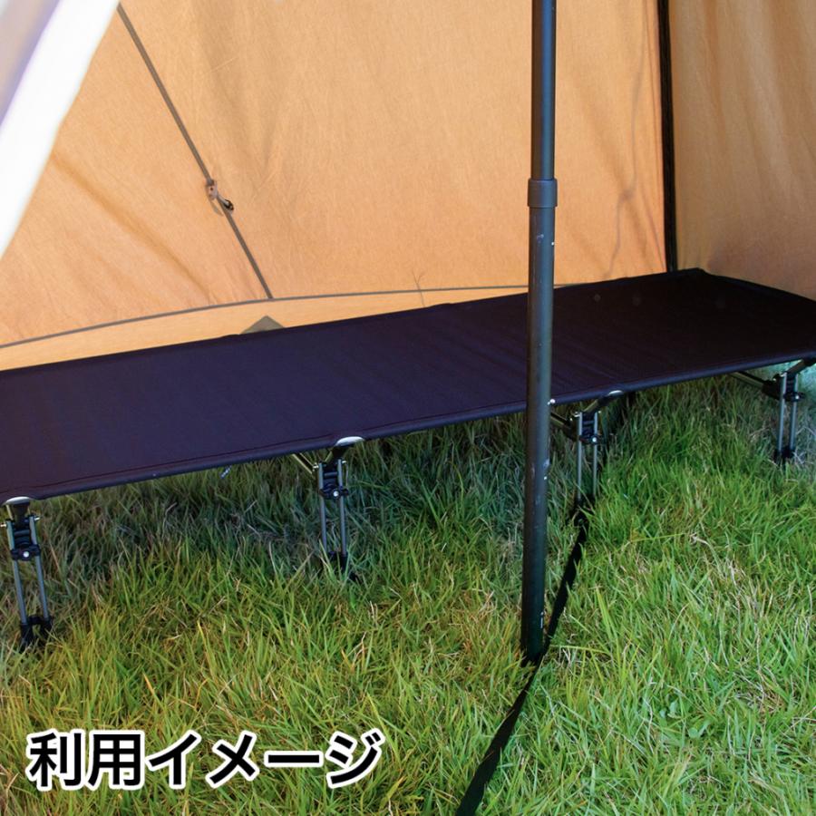 アルペンアウトドアーズ AOD-2 TARP キャンプ タープテント アルペンアウトドアーズ AOD-2 TARP キャンプ タープテント