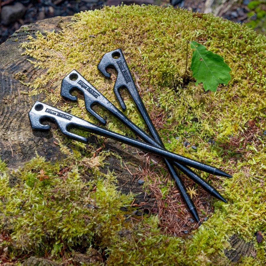 アルペンアウトドアーズ 鍛造ヘッドペグ25 8本セット キャンプ ペグ