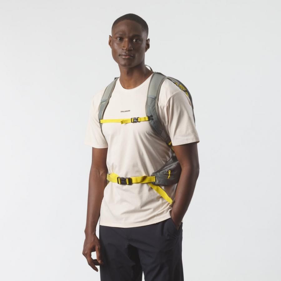 SALOMON（サロモン） 2025春夏 TRAILBLAZER 20 20L SEDONA SAGE