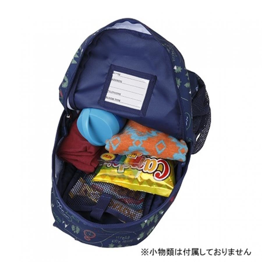 Coleman（コールマン） ウォーカーミニ (キャンプマップ) 10L 