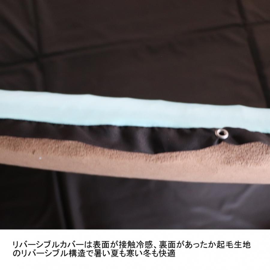 2個セット アルペンアウトドアーズ インフレーマット アルペンアウトドアーズ インフレータブルマット＆リバーシブル