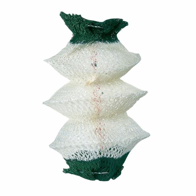 コールマン ノーザンノバ (2000027890) キャンプ ガスランタン Coleman | Coleman | 02