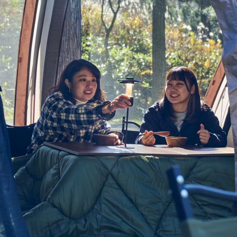 アルペンアウトドアーズ LEDシェードランタン300 キャンプ LEDランタン