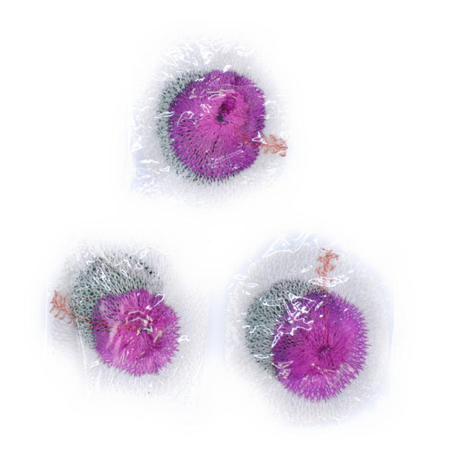 サウスフィールド ランタン用マントル キャンプ South Field アルペン Paypayモール店 通販 Paypayモール