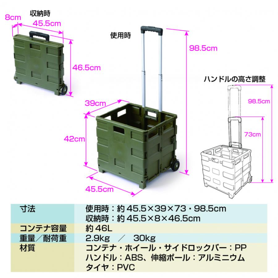 IGNIO（イグニオ） パレットキャリー キャンプ キャリー小物 荷物 運搬 