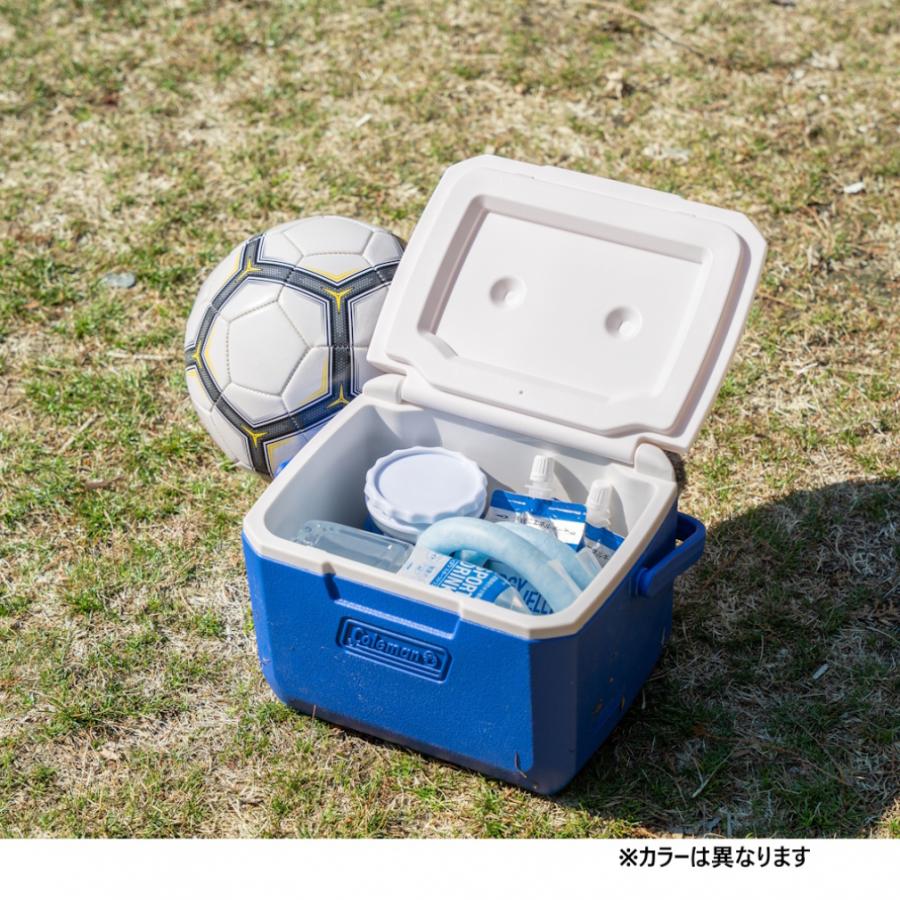 コールマン
ロードトリップ グリル LXE-J コールマン、『テイク6』『エクスカーションクーラー/16QT』の新色2種