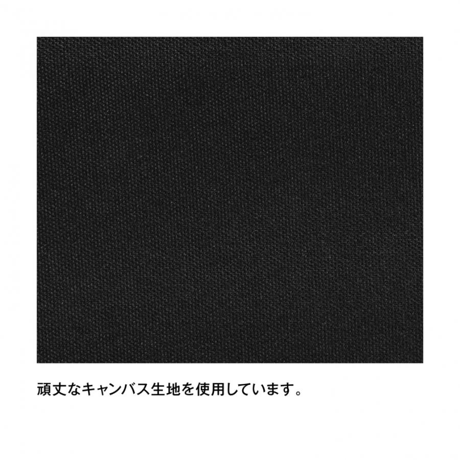 エーオークーラーズ AO ランチクーラー AO6RTCB キャンプ ソフトクーラー : コロンビアブルー AO Coolers |  | 10