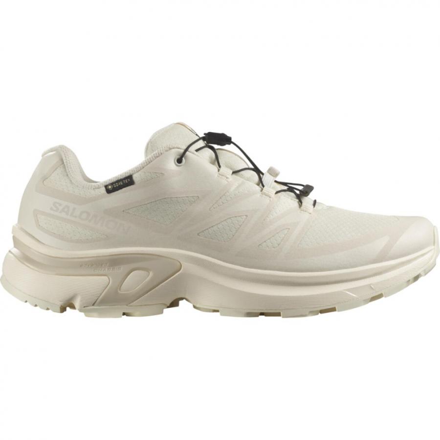 SALOMON（サロモン） 2025秋冬 エックスティー GTX イーブイアール