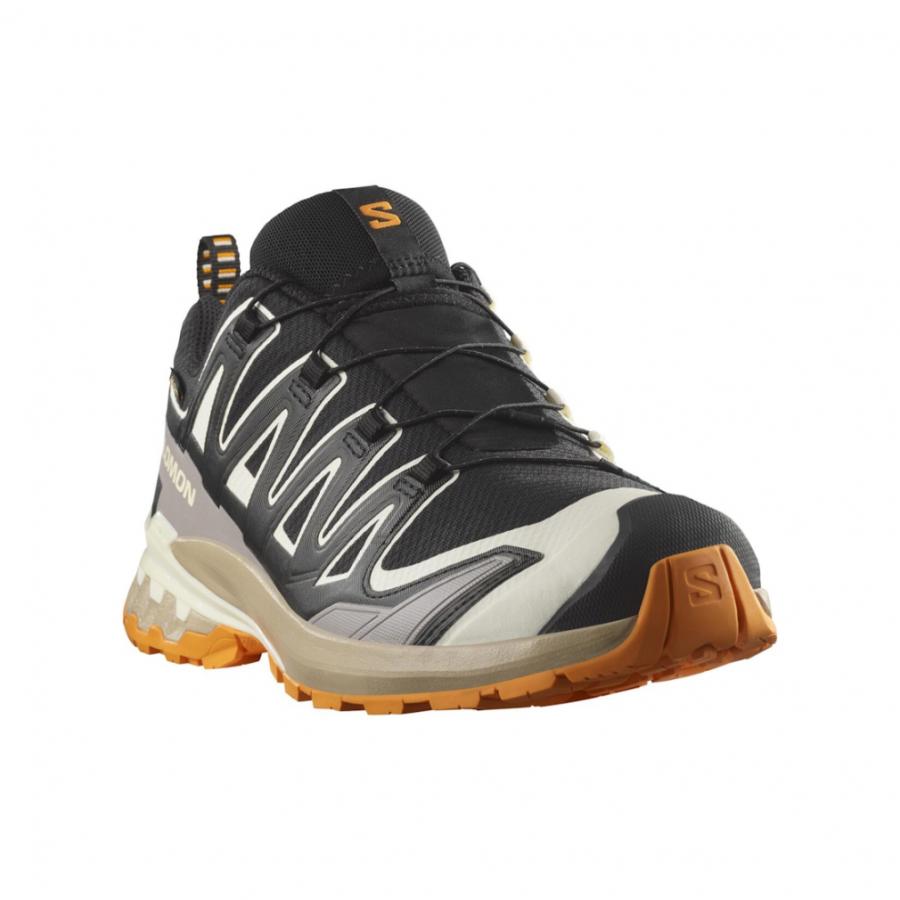 SALOMON（サロモン） 2025秋冬 エックスエー プロ 3D V9 ゴアテックス