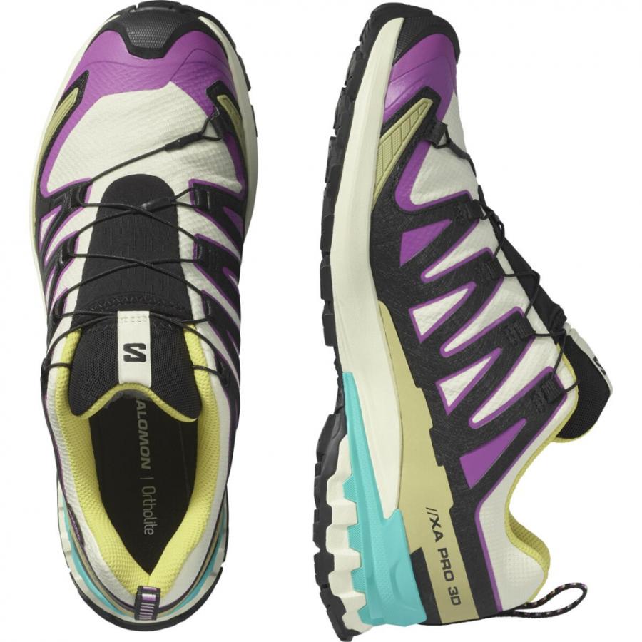 SALOMON（サロモン） 2025秋冬 XA PRO 3D V9 GTX L47881700 メンズ