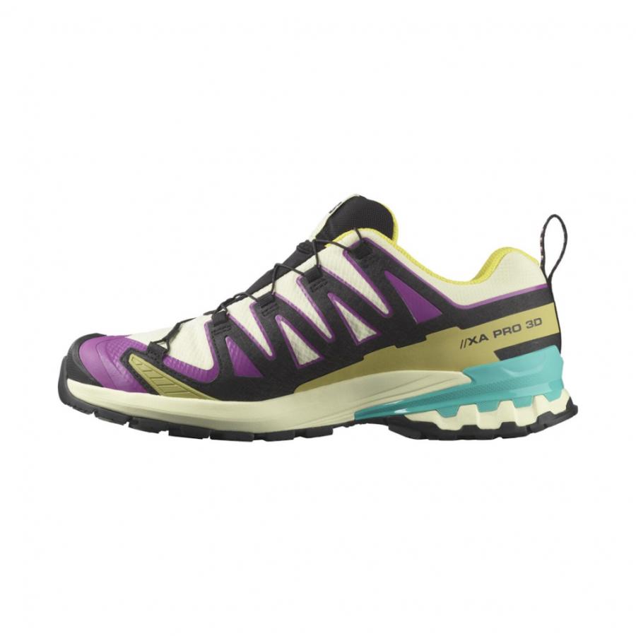 SALOMON（サロモン） 2025秋冬 XA PRO 3D V9 GTX L47881700 メンズ
