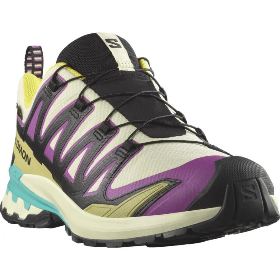 SALOMON（サロモン） 2025秋冬 XA PRO 3D V9 GTX L47881700 メンズ