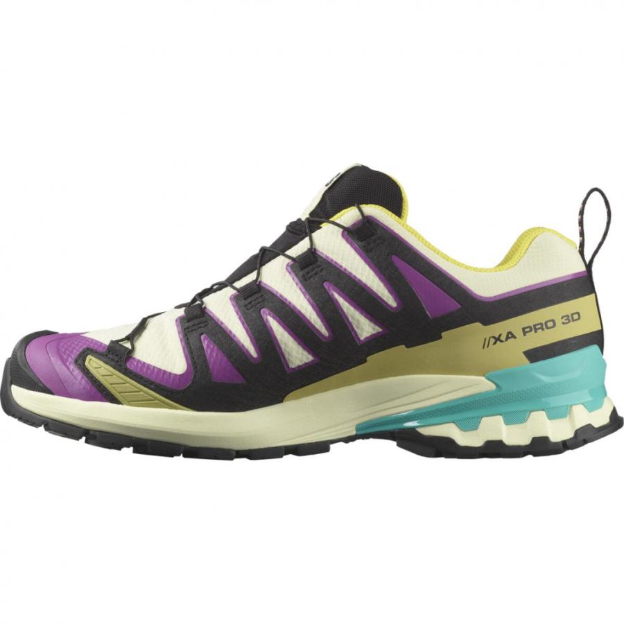SALOMON（サロモン） 2025秋冬 XA PRO 3D V9 GTX L47881700 メンズ