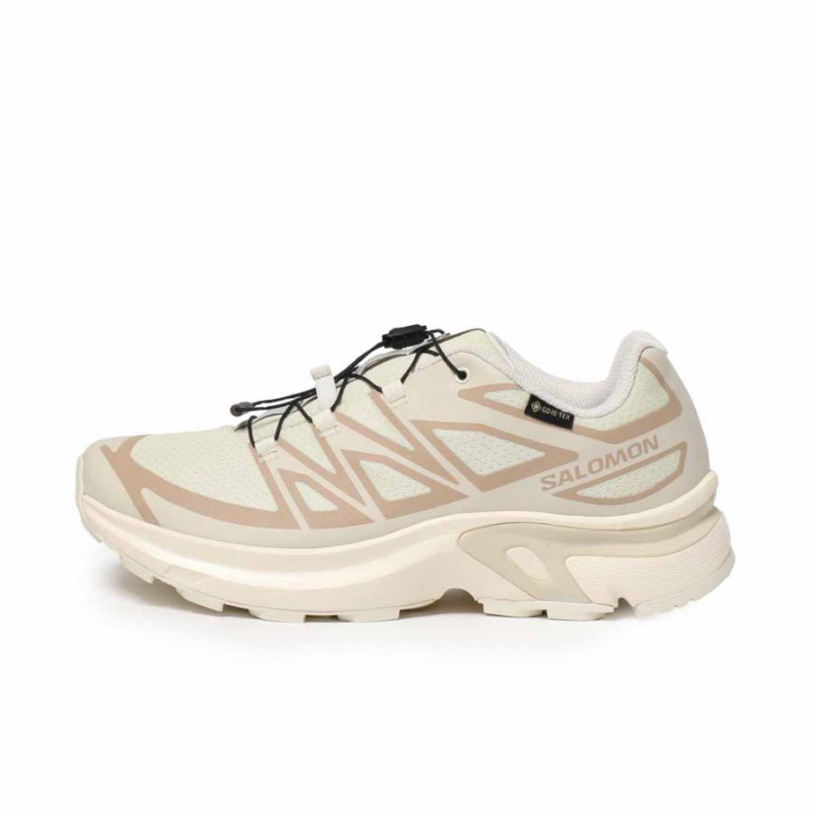SALOMON（サロモン） 2025秋冬 XT-EVR GTX L47803500 レディース