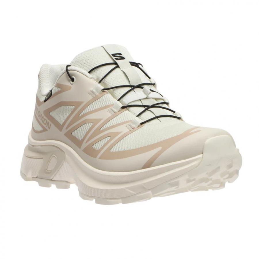 SALOMON（サロモン） 2025秋冬 XT-EVR GTX L47803500 レディース