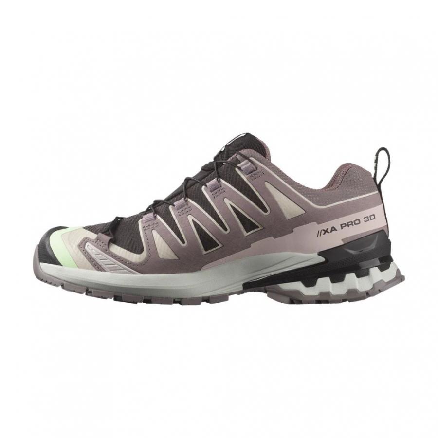 SALOMON（サロモン） 2026春夏 XA PRO 3D V9 GTX W L47882300