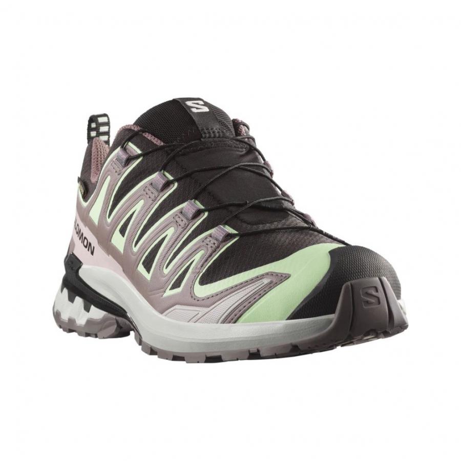 SALOMON（サロモン） 2026春夏 XA PRO 3D V9 GTX W L47882300
