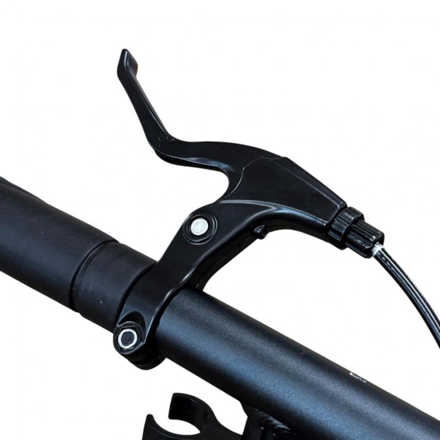 FJ Scooter 200 TT-7799 エクストリームスポーツ キックボード : Black