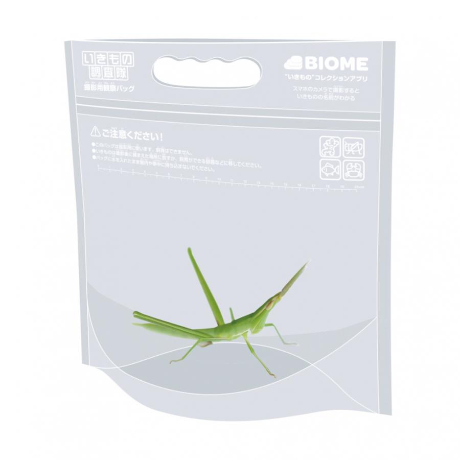 いきもの調査隊の網 000007890 レジャー用品 小物 虫取り網 : アルペン