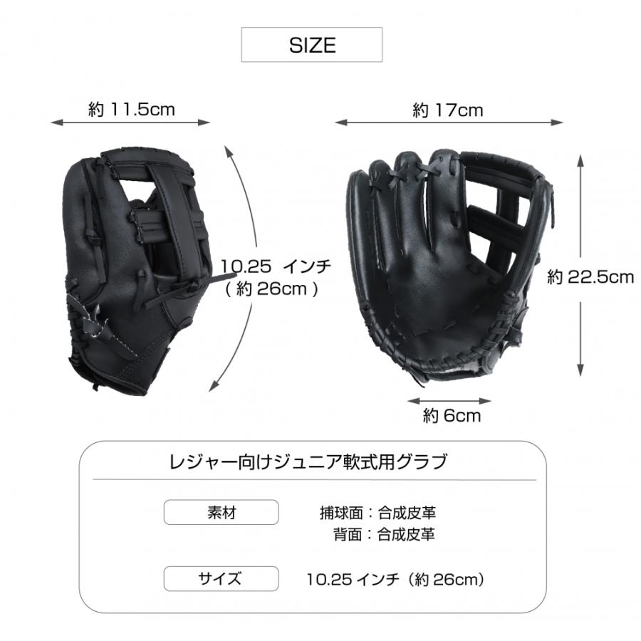TIGORA Professional Series 硬式グローブ TIGORA Professional Series