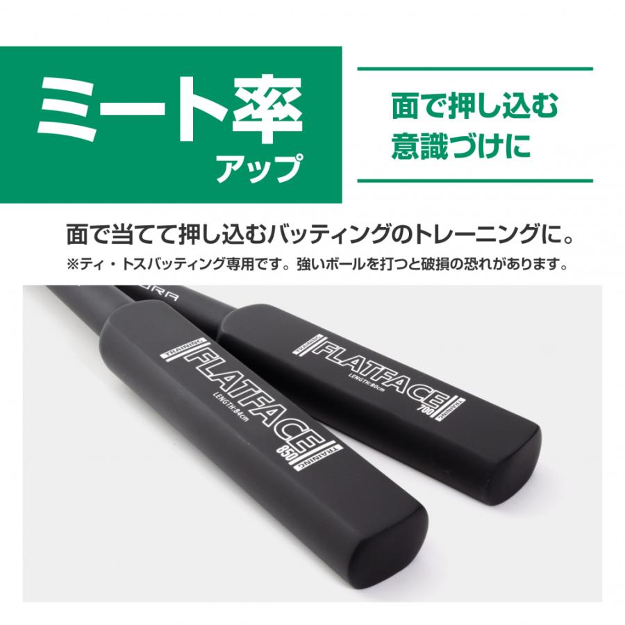TIGORA（ティゴラ） トレーニングバット フラット TR-8BG FLATF 80
