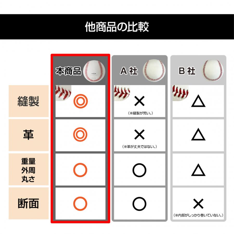 TIGORA（ティゴラ） 硬式練習球 ダース 天然皮革 牛革 野球 ピッチング