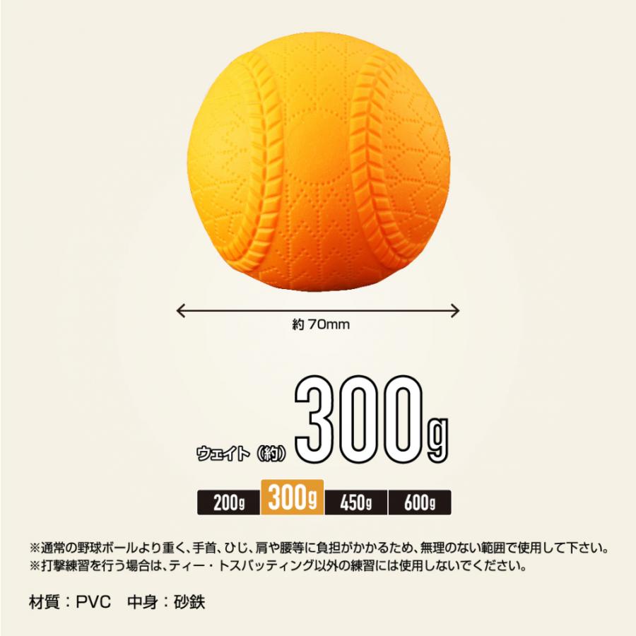 TIGORA（ティゴラ） サンドボール 300g 野球練習 ウェイトトレーニング