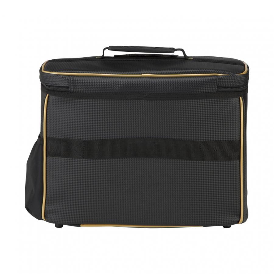 ミズノプロ　グラブケース２個入れ　グローブケース 1FJC250209 楽天市場】【2022モデル】ミズノプロ 野球 限定 グラブケース 2