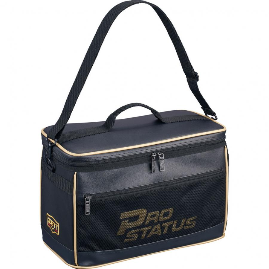 ゼット（ZETT） プロステイタス グローブケース2ヶ入れ BAP1222L 野球