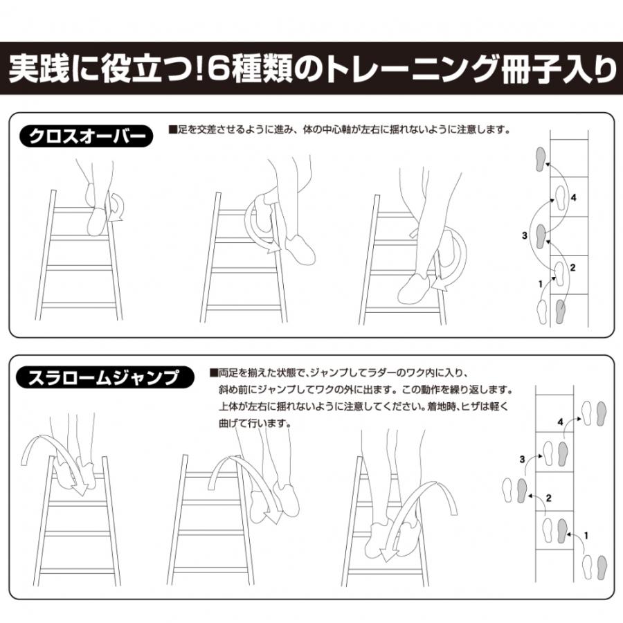 トレーニング TIGORA ティゴラ トレーニングラダー 2本セット 収納バッグ付き