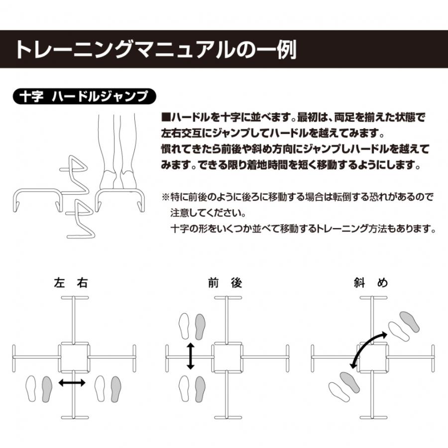 TIGORA（ティゴラ） ミニハードル 6個セット 収納バッグ付き