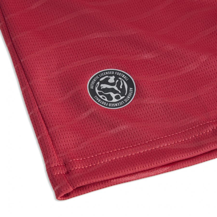 PUMA（プーマ） メンズ サッカー ポルトガル代表 レプリカ プレイヤー