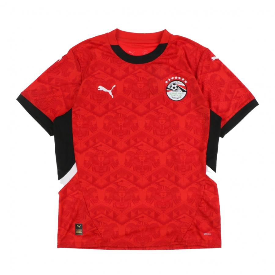 PUMA（プーマ） メンズ サッカー/フットサル ライセンスシャツ 2025