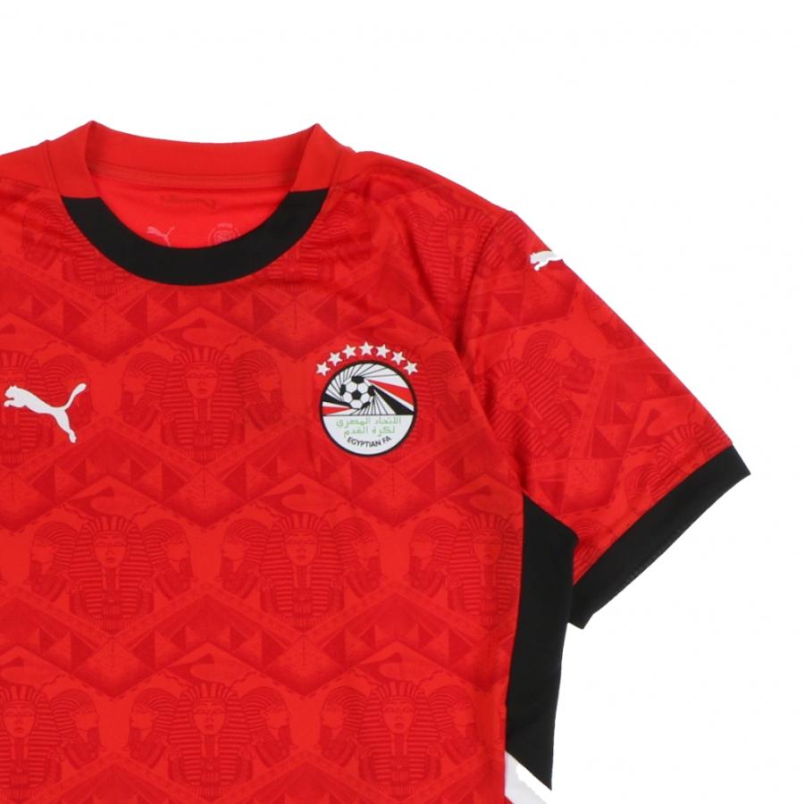 PUMA（プーマ） メンズ サッカー/フットサル ライセンスシャツ 2025