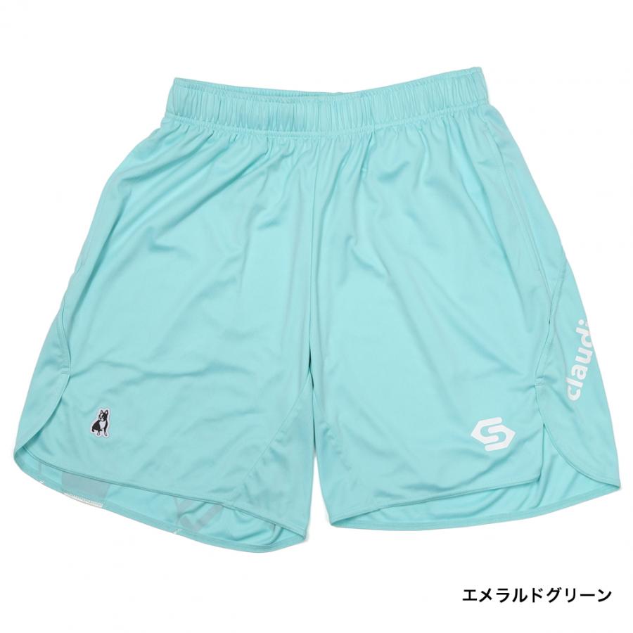 即購入可！ 貴重！ 青森山田 サッカー プラクティス パンツ