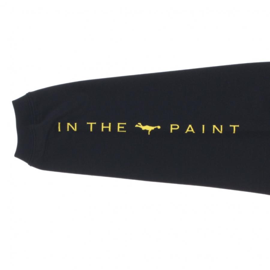 [8点セット] IN THE PAINT インザペイント BALL LINE アシックス ベンチウォーマー ドライシャツ Tシャツ 長袖 半袖 L メンズ バスケットウェア 楽天市場】アシックス tシャツ（その他｜メンズウェア