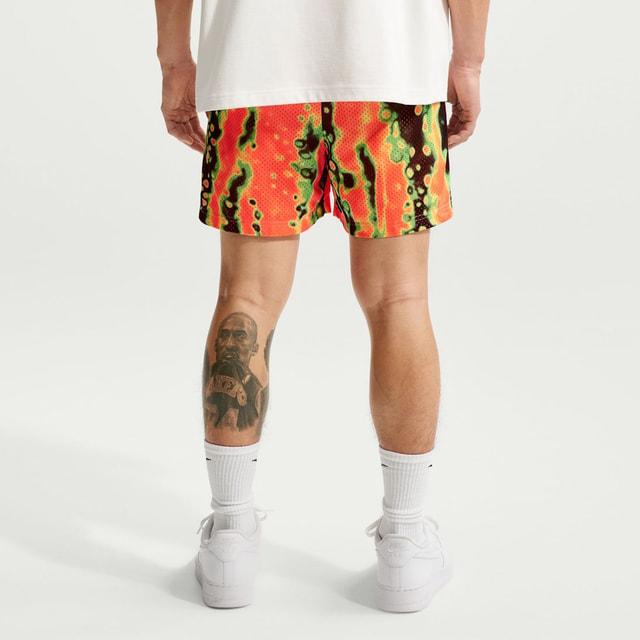 カラフル メッシュ バスケットボールパンツ NIKE（ナイキ） メンズ レディス バスケットボール スタンダード