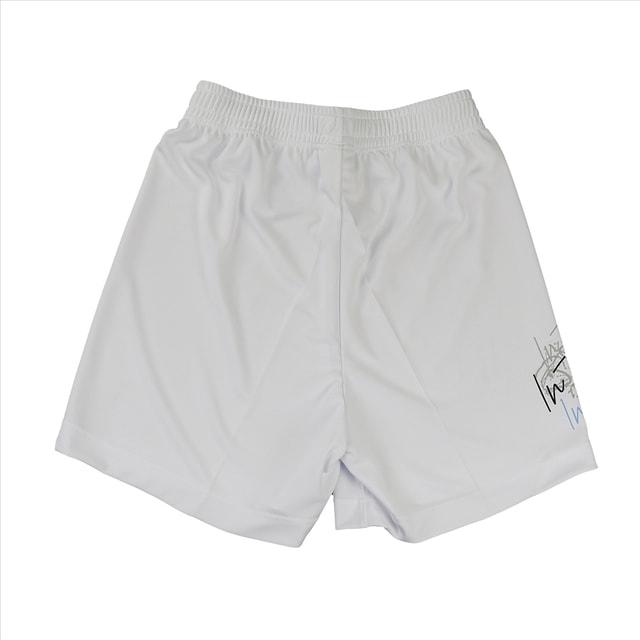 インザペイント メンズ レディス バスケットボール ハーフパンツ