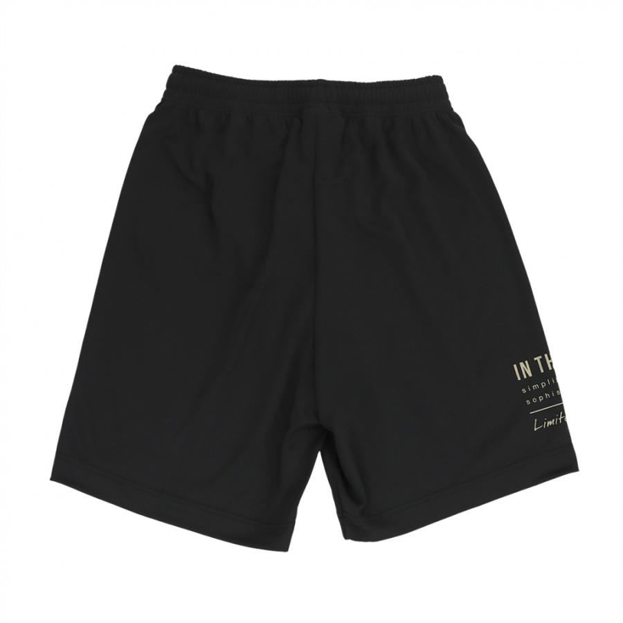 インザペイント メンズ レディス バスケットボール アルペン・スポーツ