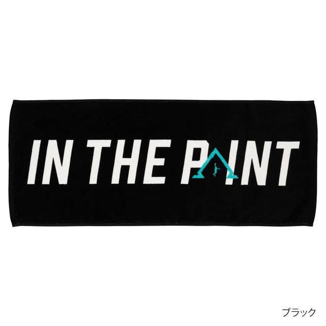 インザペイント バスケットボール スポーツデポ・アルペン限定スポーツ