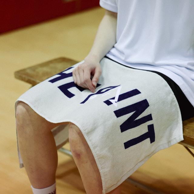 インザペイント バスケットボール スポーツデポ・アルペン限定スポーツ
