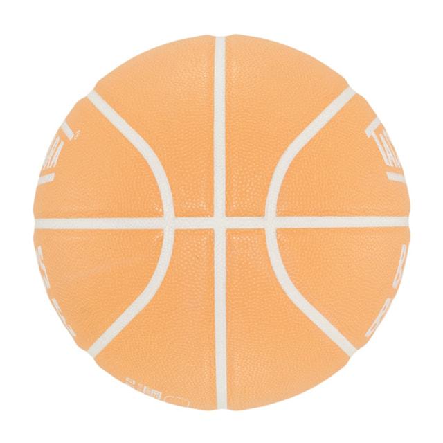 タチカラ BASICS スポーツデポ・アルペン限定 TO BOOGIE size6 SB6
