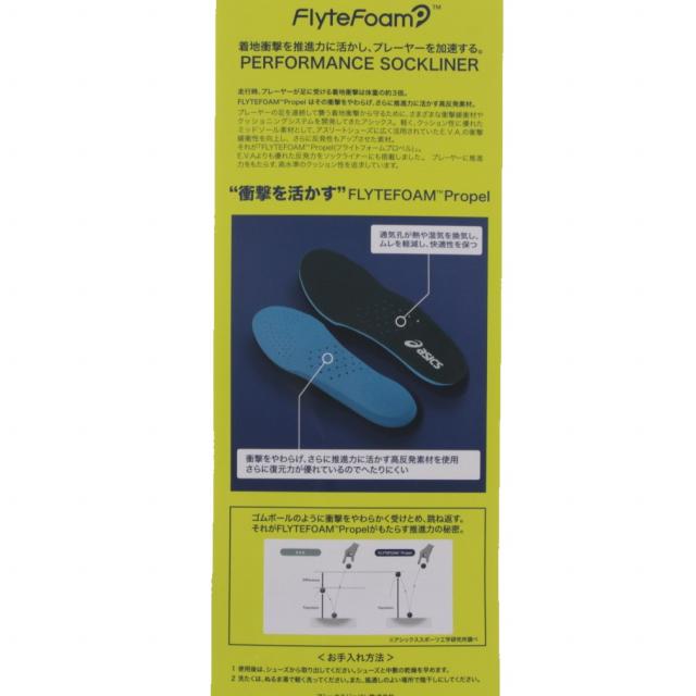 ASICS アシックス PERFORMANCESOCKLINER 1173A029